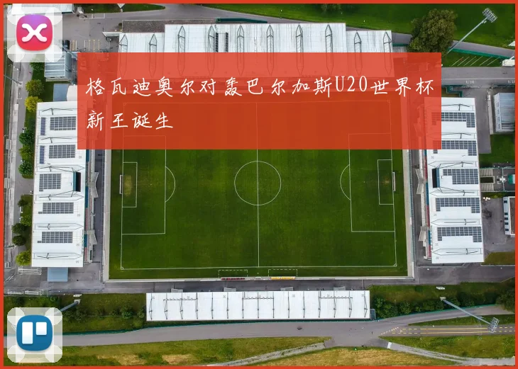 格瓦迪奥尔对轰巴尔加斯U20世界杯新王诞生