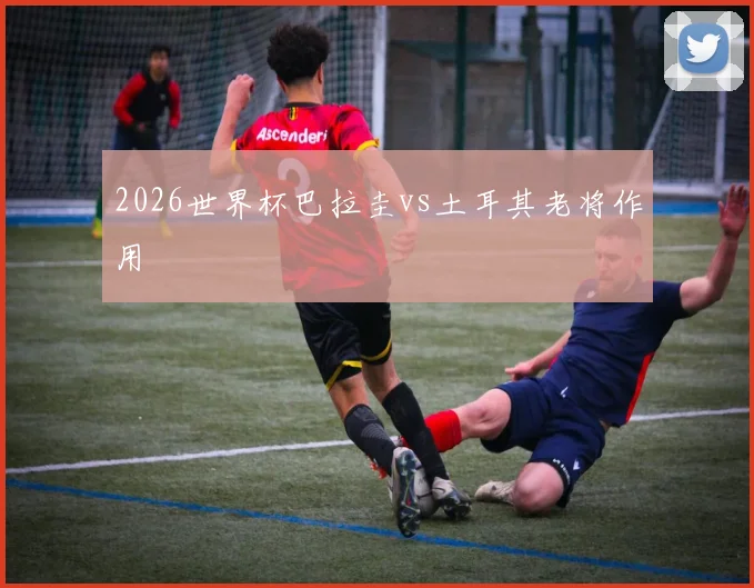 2026世界杯巴拉圭vs土耳其老将作用
