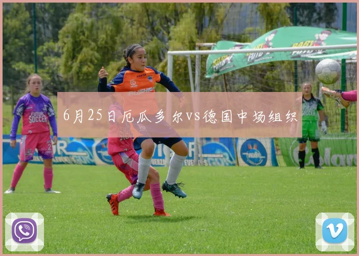 6月25日厄瓜多尔vs德国中场组织