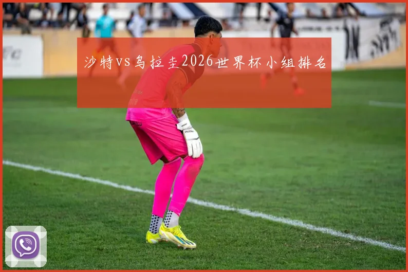 沙特vs乌拉圭2026世界杯小组排名