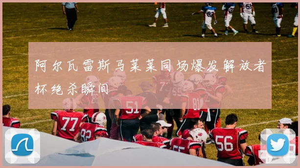 阿尔瓦雷斯马莱莱同场爆发解放者杯绝杀瞬间